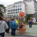IMG_7271.JPG